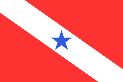 Bandeira do Pará