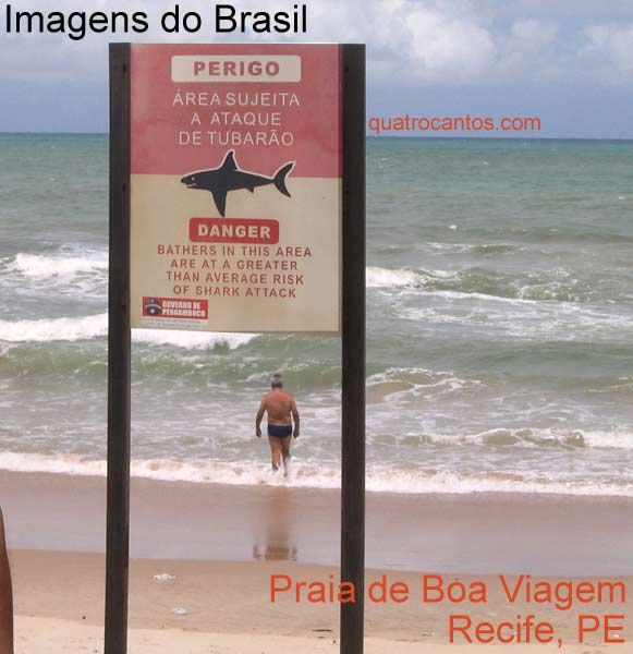 Quem tem medo de tubarão?