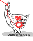 Frango mutante