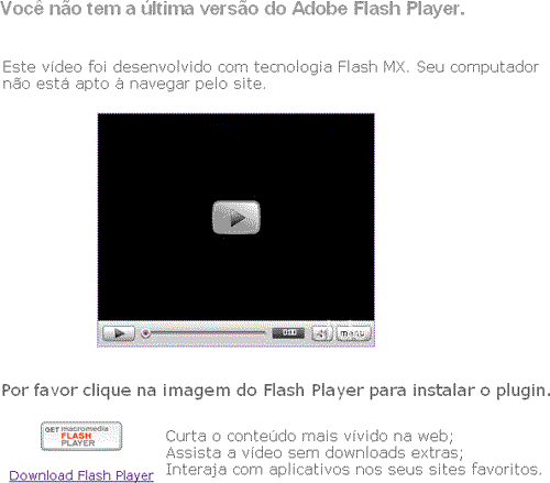 Falsa instalaçào do Adobe Flash Player
