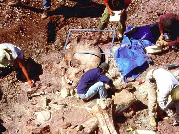 Arqueólogos encontram esqueletos gigantes?
