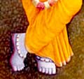 Hare krishna