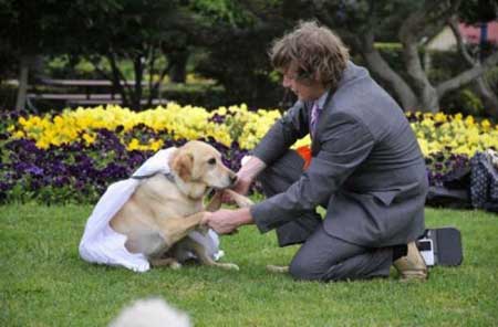Casamento de homo com cachorro?