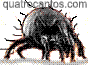 Chivirus