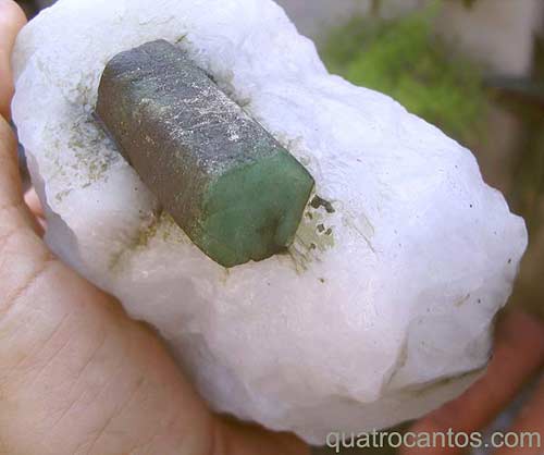 Exemplares de minerais para colecionadores